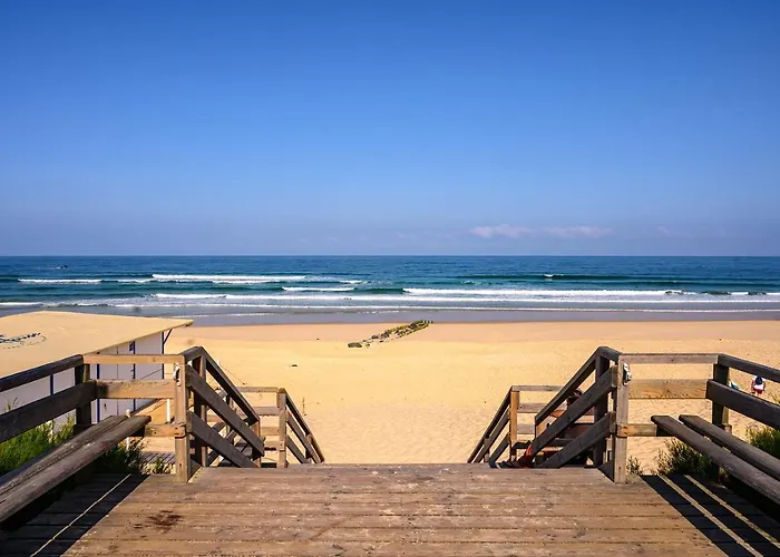 A 200m De La - L'ocean - Mimizan-Plage